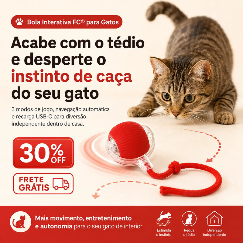 Bola Interativa Para Cães e Gatos Com 3 Modos Recarregável - FC©