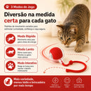 Bola Interativa Para Cães e Gatos Com 3 Modos Recarregável - FC©